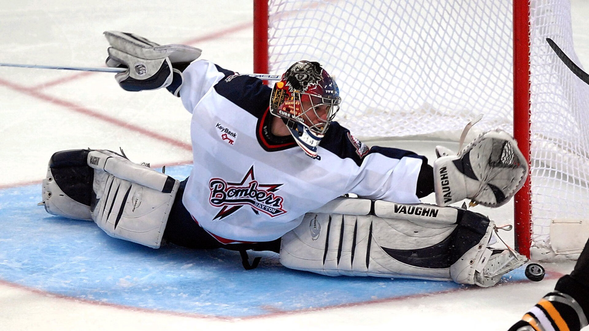 全明星投票倒计时:粉丝、球员、教练哪个最有发言权?,全明星投票规则